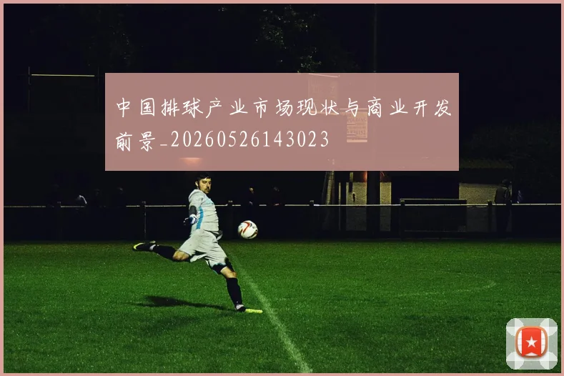 中国排球产业市场现状与商业开发前景_20260526143023