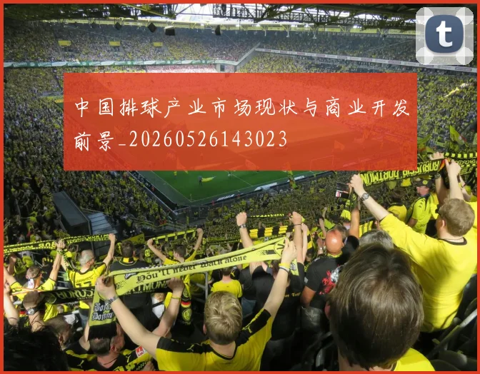 中国排球产业市场现状与商业开发前景_20260526143023